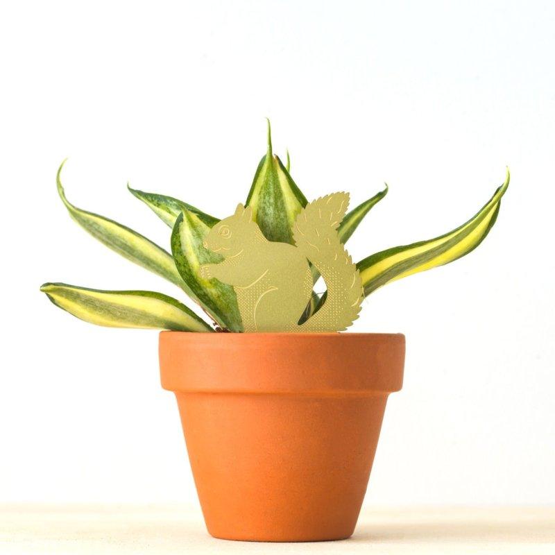 Planten Diertje Eekhoorn