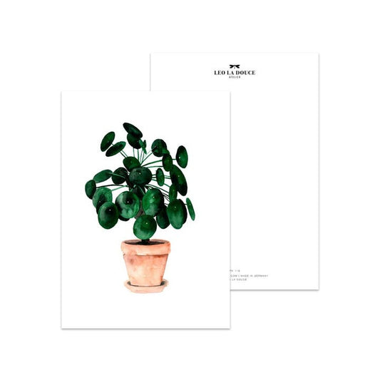 Kaart Pilea | Zonder Envelop