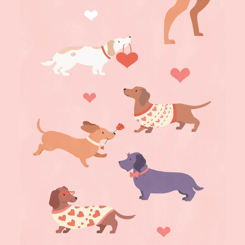 Kaart Valentijn Teckels