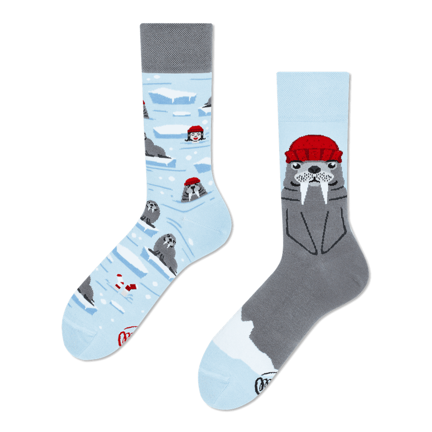 Many Mornings The Walrus Sokken