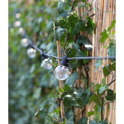 Regular Patio Lights Round Bulbs