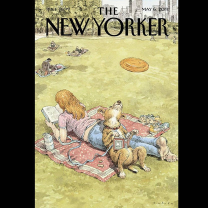 Kaart New Yorker Magazine | Div. Varianten
