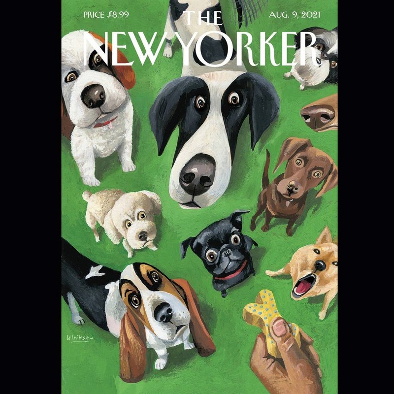 Kaart New Yorker Magazine | Div. Varianten