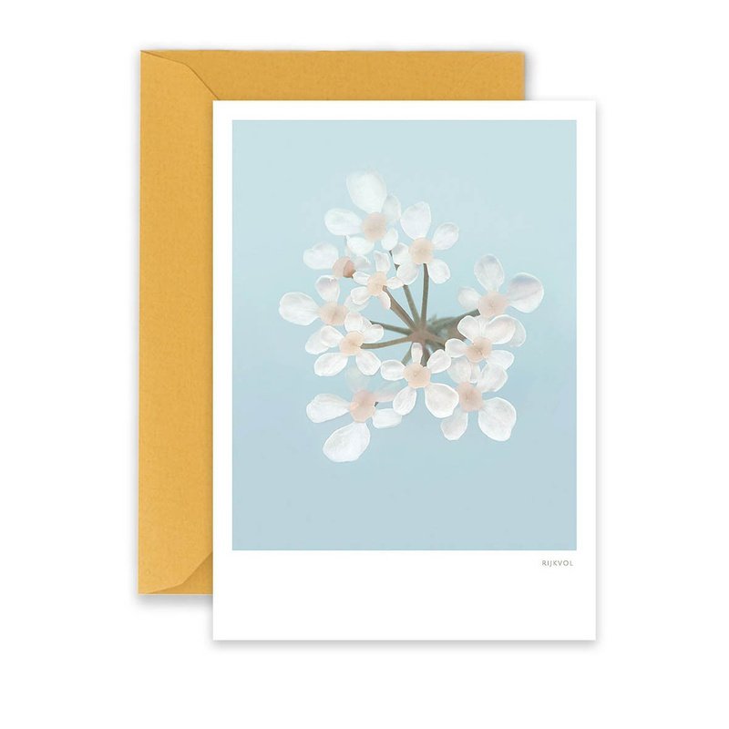 Kaart Cow Parsley 01